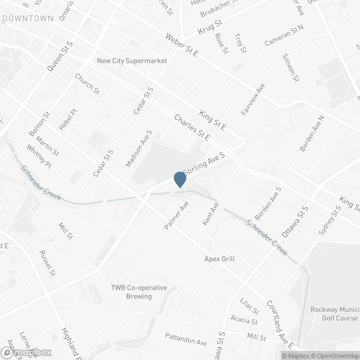 139 STIRLING Avenue S, Kitchener, Ontario N2G 3N8